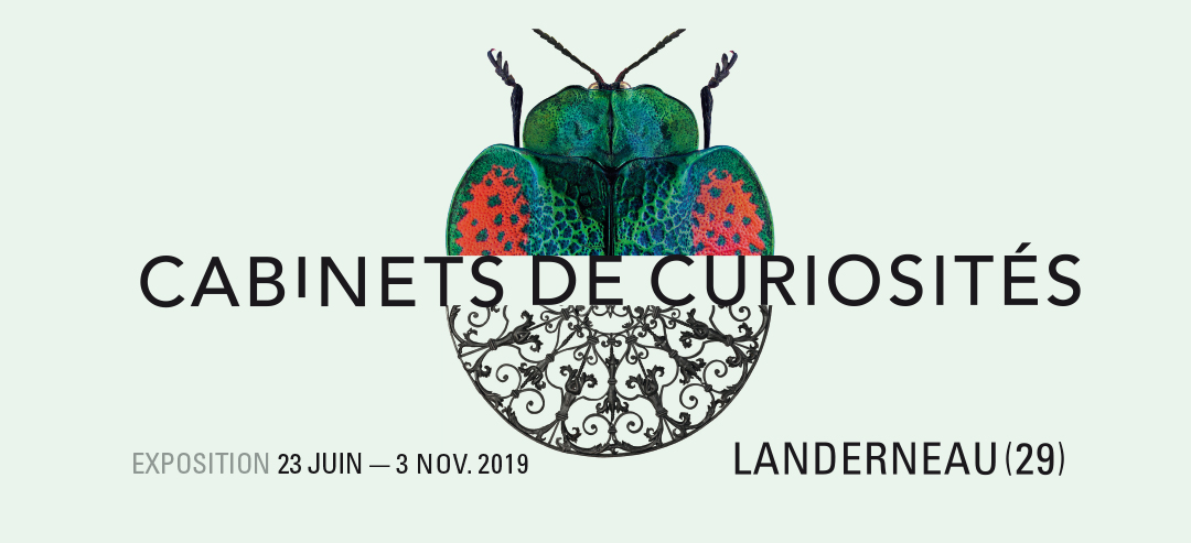 #EXPO: Cabinet de curiosités – Landerneau